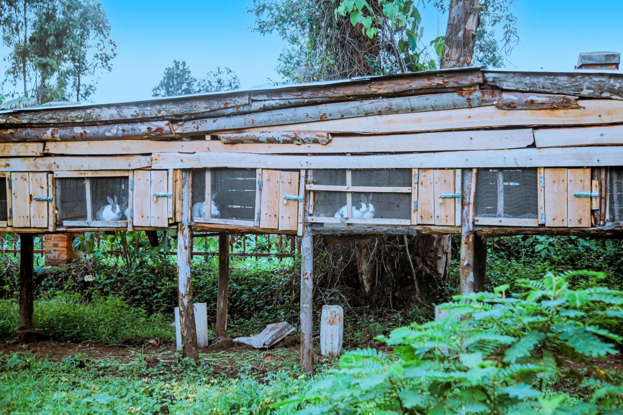 Karisimbi Cave Resort 루헹게리 외부 사진